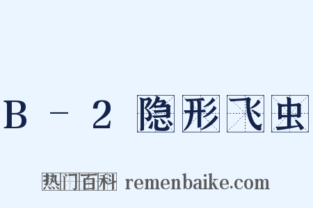 B-2隐形飞虫是什么意思的图片